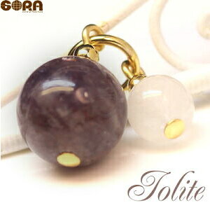 �A�C�I���C�g �`���[�� �p���[�X�g�[�� �l���̓������ 3A�q�}�����Y�A�C�I���C�g 5A �A�[�c���C�g �V�R�� �q�}���� �y���_���g �l�b�N���X