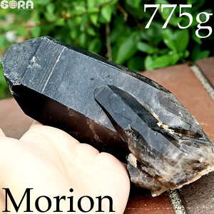 y1_mzI NX^[  uWY 775g   F u p[Xg[ VR  N  F 