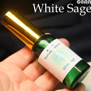 zCgZ[W Xv[ 30ml Z[W  򉻗p p[Xg[ VR q[O~Xg zCgZ[W@X}bWO~Xg