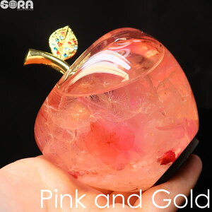 ^ A F CeA sN [YNH[c ̂ S[h  n[oE Abv Mtg   K^̃Abv ь u p[Xg[ J^