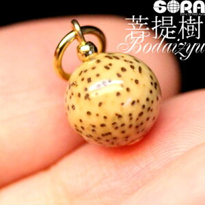 `[ Xs`AȖ؂̎ ߉ޗl AAAAA  10mm p[Xg[ VR O   