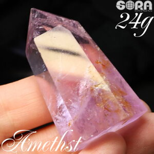 �y����1�_���m�z���炬�ƈ����F�� ���x���_�[�A���W�X�g 46g �u���W���Y �|�C���g �p���[�X�g�[�� �V�R�� ���� �A���W�X�g