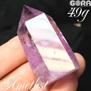 y1_mz炬ƈF x_[AWXg 49g uWY |Cg p[Xg[ VR  AWXg