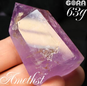 y1_mz炬ƈF x_[AWXg 63g uWY |Cg p[Xg[ VR  AWXg