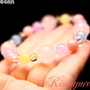 y1_mzыF@X̋C܂V[Y 4A [YNH[c 4A ANA} 5A sNIp[ 4A ASiCg 4A x_[AWXg uXbg VR  p[Xg