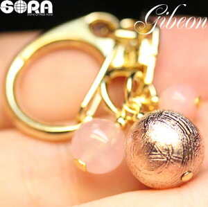 yӕʍρzAF L[z_[ 5A MxI覐 isNS[hJ[j@4A sNIp[ 4A [YNH[c p[Xg[ VR