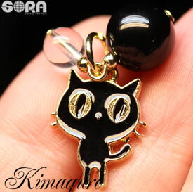 パワーストーン 幸運を呼ぶといわれる 黒ねこ チャーム 5A ブラックオニキス 5A 水晶 ネックレス ペンダント 厄除け 魔除け 商売繁盛 祈願 厄年 厄払い 天然石 オニキス 猫 ネコ くろねこ クロネコ