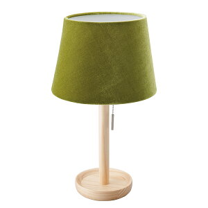 �s�v���X�C�b�`��ON/OFF�B�ؐ��Ńi�`�������ȃe�C�X�g�t�C�V�O�� �ؐ��e�[�u�������v60W�v���X�C�b�`�E�x���A�V�F�[�h20672�O���[��