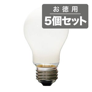 sƒpƖōłgJ^`̈ʓdBi1000ԁtASAHI ʓdLW100V-38W/55 E26zCg(5Zbg)