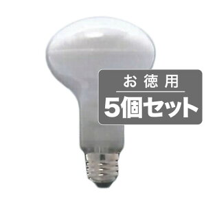 sZEX܂̃_ECgANbvCgɎgpBp5ZbgtASAHI tvE26/a80mm/110V-60WtXgR80E26110V-60W(F)5Zbg