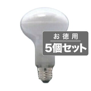 sZEX܂̃_ECgANbvCgɎgpBp5ZbgtASAHI tvE26/a80mm/110V-100WtXgR80 E26 110V-100W(NF)5Zbg