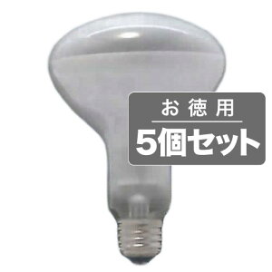 sZEX܂̃_ECgANbvCgɎgpBp5ZbgtASAHI tvE26/a100mm/110V-100WtXgR100E26110V-100W(F)5Zbg