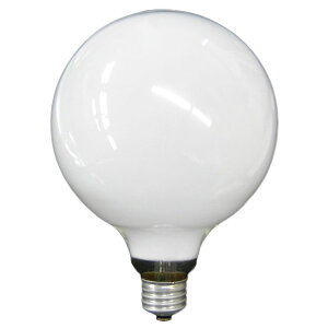 sZEXܗpzCg{[dtASAHI zCg{[vE26/a125mm/110V-100W G125E26110V-100W(S)