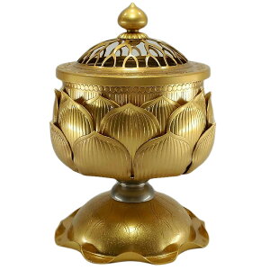 s@؂̉؂`[tɂ{iFtې쏊 @؍F24^JnbLdグ