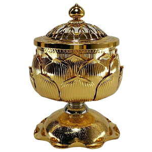 s@؂̉؂`[tɂ{iFtې쏊 @؍F24^JnbLdグ