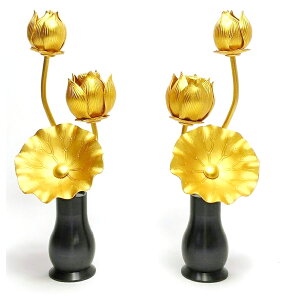 siɍ炫Ԃ\AԂŕdotې쏊 ؕrt~j(21g)