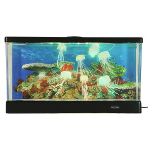 �sLED�ő��ʂɉ��o�A���₵�̋�ԃN���Q�A�N�A���E���t�C�V�O�� �A�N�A���E���u�N���Q�v���C�h18161