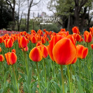 aubW SMC-10Cp20C`փ^C(m[pNdl)1{