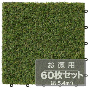 苗 60枚 人工芝」の人気商品一覧 | 安い商品を通販サイトから探す 
