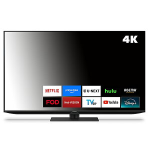 V[v AQUOS50V^4KnCrWter 4T-C50GN2(lbgΉ/Google TV)