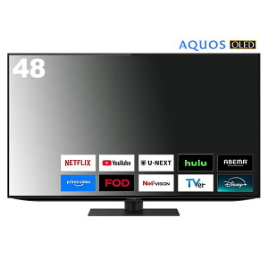 �V���[�v 4KRGB Tandem�L�@EL�p�l������48V�^�e���rAQUOS OLED4T-48S9A