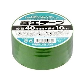 【お得クーポン配布中!】養生テープ 幅40mm×長さ10m 跡が残りにくい 仮止め 粘着テープ 手で切れる ついで買い特集【 台風対策 緑 グリーン 内装 外装 工事 補助 マスキング 塗装 キズ 汚れ防止 日曜大工 まとめ買い 1巻 】 /60N◇ 養生T