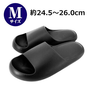 y{|Cg5{!z ! Sn EVANbVT_ ̕Sy T_ y _炩 􂦂y Xbp  ɂ e ӂӂ C Y fB