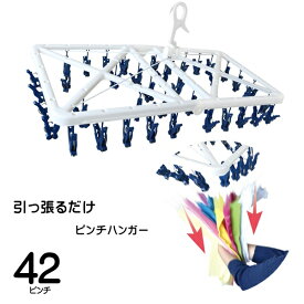 【本日いちばの日!最大P4倍】送料無料 ! 洗濯物をひっぱって取り込み 簡単 らくとりハンガー 42ピンチ 折りたたみ ローラー式【 洗濯物干し ピンチハンガー 室内干し 洗濯ばさみ クリップ 引っ張るだけ 便利 梅雨対策 】送料込 S◇ ローラーハンガー白青