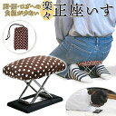 【本日ポイント5倍!】送料無料 ! らくらく正座椅子 折りたたみ コンパクトタイプ 携帯用 ポーチ付き 脚・腰・ひざへの…