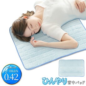 【お得クーポン配布中!】送料無料 ! 強冷感 ハイドロゲルEX 背中パッド 熱を分散 高性能 ひんやり寝具 40×60cm 夏物特集【 接触冷感 敷き 布団 冷感パッド 冷感シーツ 大人 子供 冷たい 暑さ対策グッズ 】 送料込 ◎ 60N◇ 強冷感GEL背中パット