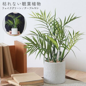 y{|Cg10{!z ! tFCNO[ ~jϗtA e[uV 42cm u A ͂Ȃ sv y[p[|bgy  p[ U lHO[  CeA 