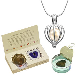 y{5OFF!zŊL^o! p[̊ʋl lbNXLbg 5`8mm VRF ŔWy Wp[ t@bV y_g Pbg q ̎q  v