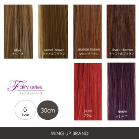 増毛エクステ【WING-UP-BRAND】フェアリーシリーズ｜全10色｜高品質形状記憶ウィングループ6本束(30cm)｜750本シート｜メッシュ｜増毛｜エクステ｜ヘアエクステ｜カラーエクステ｜ウィッグ｜かつら