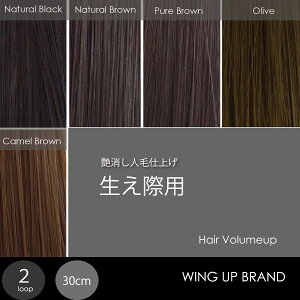 yۗpzуGNXe-2{yWING-UPzlщdグb(30cm)b1000{V[gbсbGNXe