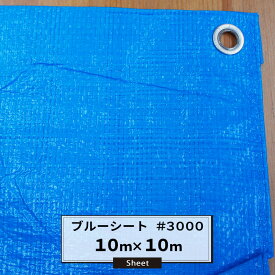 ブルーシート 10×10m #3000 厚手 雨よけ 日覆い 埃よけ 養生シート 保温用シート パレットカバー 運動会 お花見 厚手 レジャーシート 台風 屋根 災害 防災用品 FT JQ