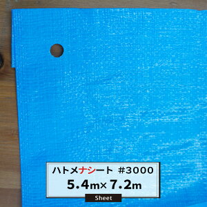 ブルーシート ハトメナシート ハトメなし #3000 5.4×7.2m ポリエチレン クロスシート 雨よけ 日覆い 埃よけ 防災用品 保護 養生 保温 パレットカバー FT JQ
