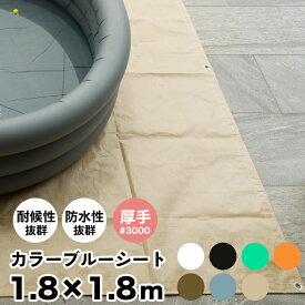 楽天市場 ブルーシート カラーの通販