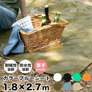 [11OFFN[|×111] u[V[g J[ 1.8×2.7m  #3000 J[u[V[g W[V[g   Ԍ C o[xL[ ^ hЗpi ЊQ J悯 {V