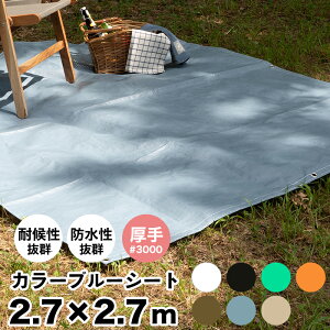 [|Cg10{×14206Ԍ] u[V[g J[ 2.7×2.7m  #3000 J[u[V[g W[V[g   Ԍ C o[xL[ ^ hЗpi ЊQ J悯 {