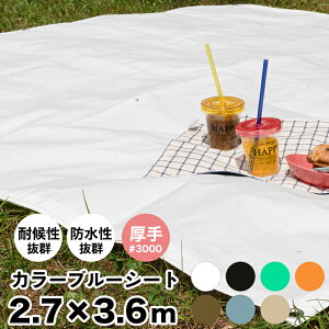 u[V[g J[ 2.7×3.6m  #3000 J[u[V[g W[V[g   Ԍ C o[xL[ ^ hЗpi ЊQ J悯 {V[gzCg ubN O[ 