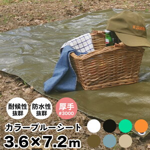 [11OFFN[|×111] u[V[g J[ 3.6×7.2m  #3000 J[u[V[g W[V[g   Ԍ C o[xL[ ^ hЗpi ЊQ J悯 {V