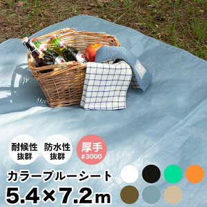 ブルーシート カラー 5.4×7.2m 厚手 #3000 カラーブルーシート レジャーシート おしゃれ ござ お花見 海水浴 バーベキュー 運動会 防災用品 災害 雨よけ 養生シートホワイト ブラック グリーン