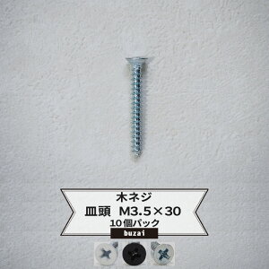 [|Cg5{×30] ؃lW M M3.5×30 ؕp ؃rX˂ rX h˂ hrX 10pbN X`[ ON[g [֑Ή 5܂܂ o H-N-0