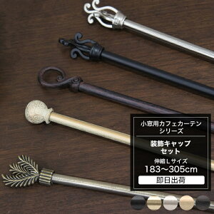 [|Cg5{×18] p ACAJ[e[ Lbv Lk LTCY 183`305cm o C-F-1