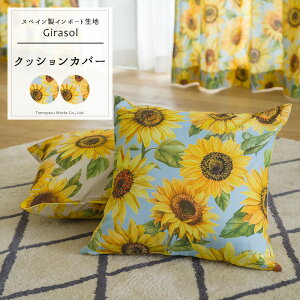 [|Cg10{×27810܂] NbVJo[  45cm×45cm yYH8018z W\ [1] ԕ Ђ܂   {^jJ AC{[ u[ OKC5