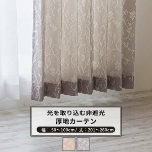 [ő10OFFN[|] J[e TCYI[_[ 50`100cm 201`260cm [1] yAH496zi { 􂦂 A  WK[h OKC5