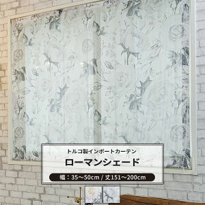[5������10%OFF�N�[�|��×P10�{18���`6H] ���[�}���V�F�[�h �h�����^ ��34�`50cm ��151�`200cm [1��] �yYH993�z�J���� �I�[�_�[�V�F�[�h ���[�X �h���[�v ���{�� �V�A�[�J�[�e�� �ԕ� ���ԕ� �X�g���C�v 