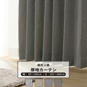 [|Cg10{×14206Ԍ] J[e TCYI[_[ 50`100cm 201`260cm yAH584z tBR [1] Ռ2 n i` _ a rO Q OCbV O[ x[W