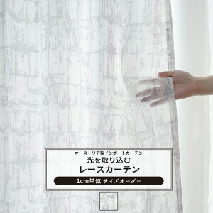 [XJ[e TCYI[_[ 50`270cm 50`260cm yYH819z [G [1]  iq _ a OKC5