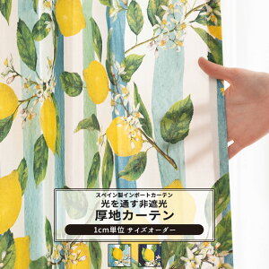 [}\N[|zz] J[e TCYI[_[ 50`270cm 50`260cm yYH838z [l [1]  Ռ  XgCv u₩ k u[ lCr[ OKC5